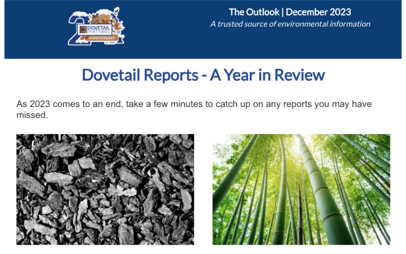 The Outlook December 2023 | A Year in Review